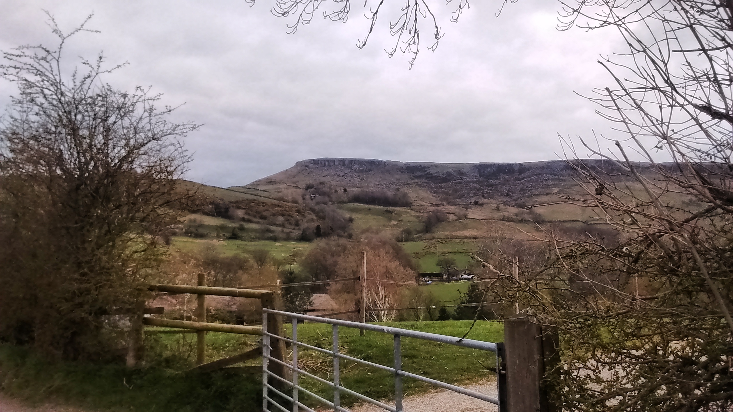 A View From The Back: Whitehall Wiggle